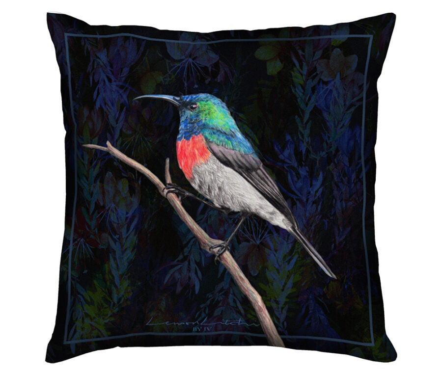 midnight-sunbird-scatter-cushion midnight-sunbird-scatter-cushion