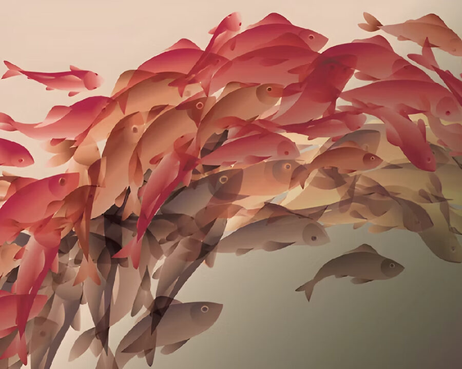 olivespace-shoal-fish olivespace-shoal-fish