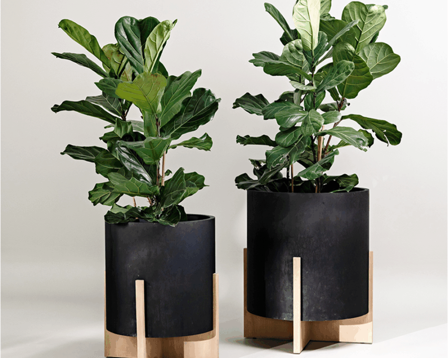 grandliving-with-beck-ernst-gail-planter-collection grandliving-with-beck-ernst-gail-planter-collection