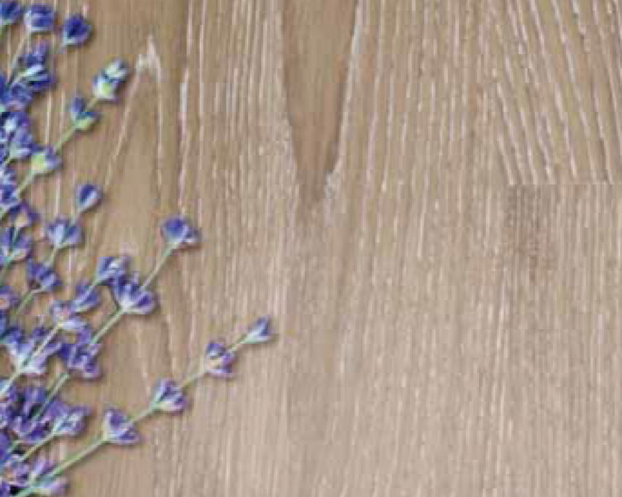 cape-speciality-coatings_product_hesse-eazypore-stain_ cape-speciality-coatings_product_hesse-eazypore-stain_