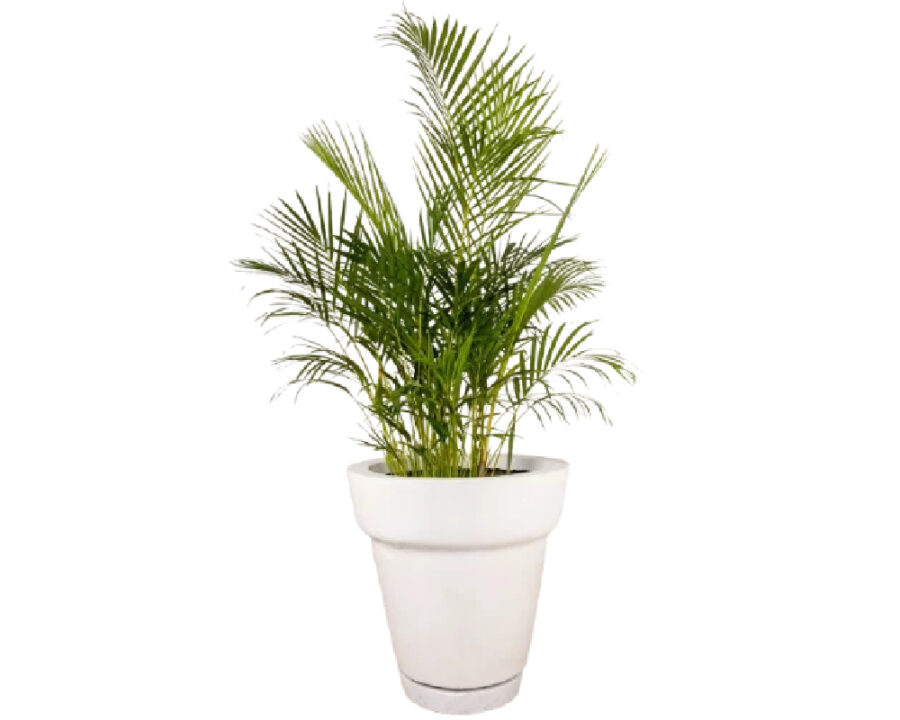 amco-classic-pot amco-classic-pot