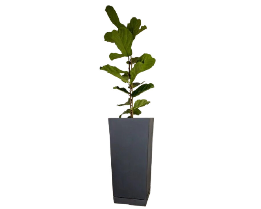 amco-tapered-vase amco-tapered-vase