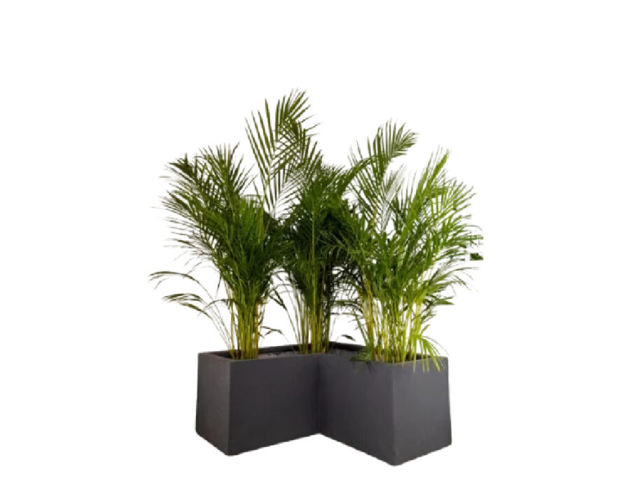 amco-corner-trough amco-corner-trough