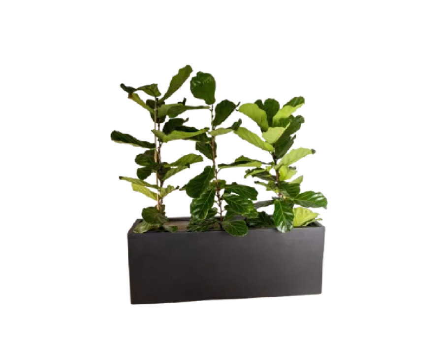 amco-trough amco-trough