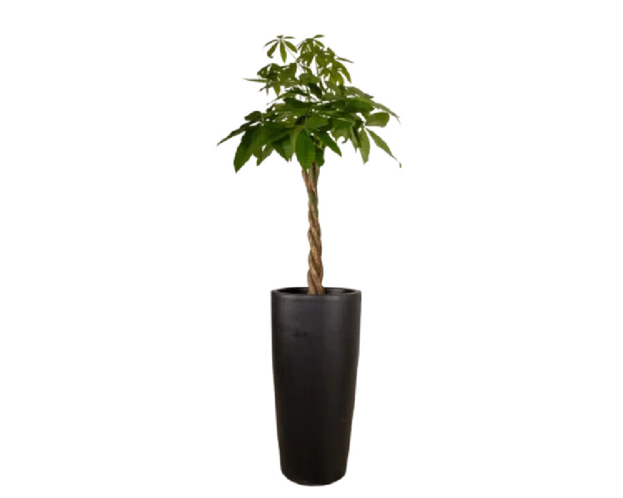 amco-tube-pot amco-tube-pot