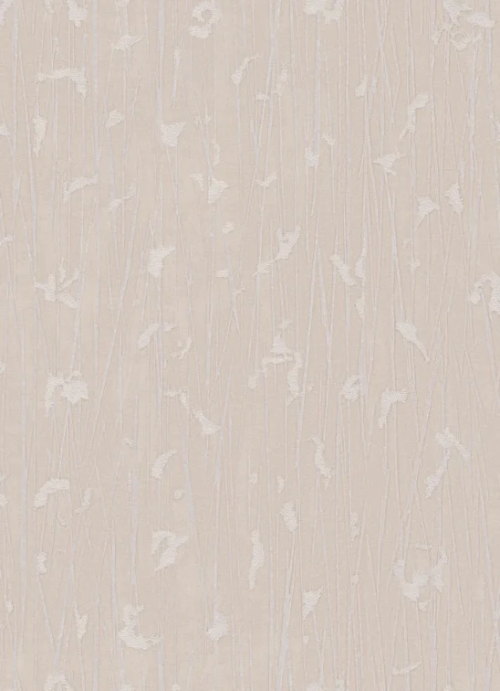 zebra-rush- zebra-rush-