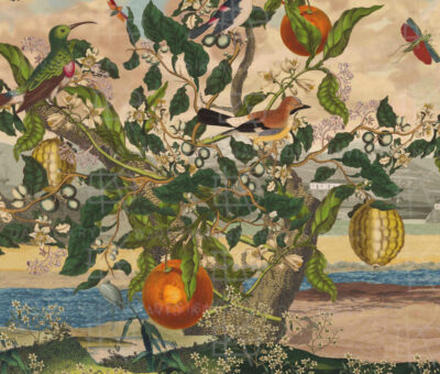 David Krynauw Design