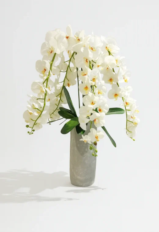 dancing-orchids