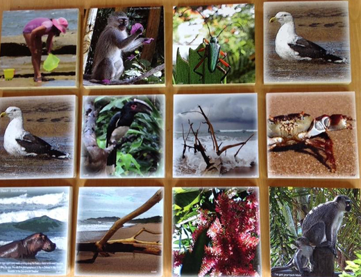 Print Wild: How to place wildlife photos for the right kind of effect