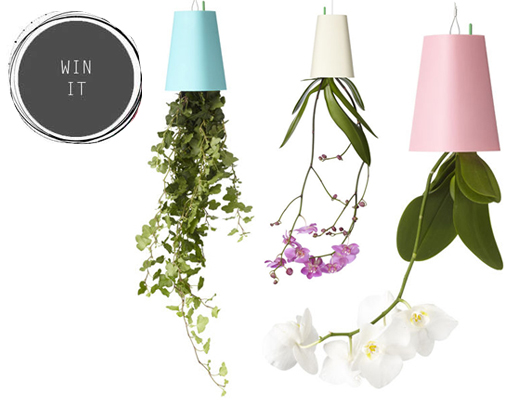 WIN: Recycled Sky Planter from l'Emile et son