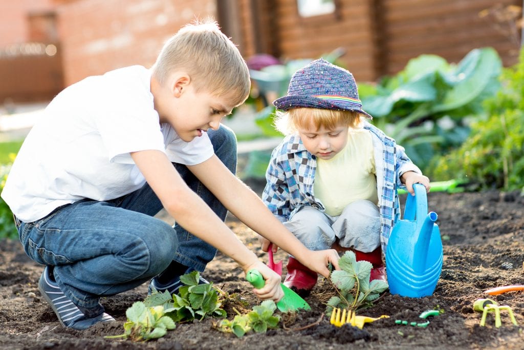 kids-planting