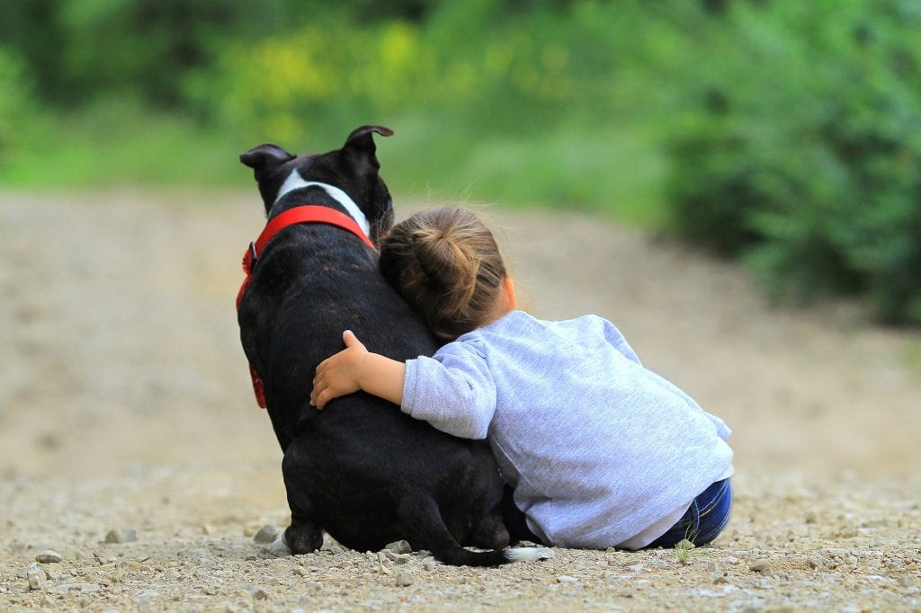 childs-first-pet