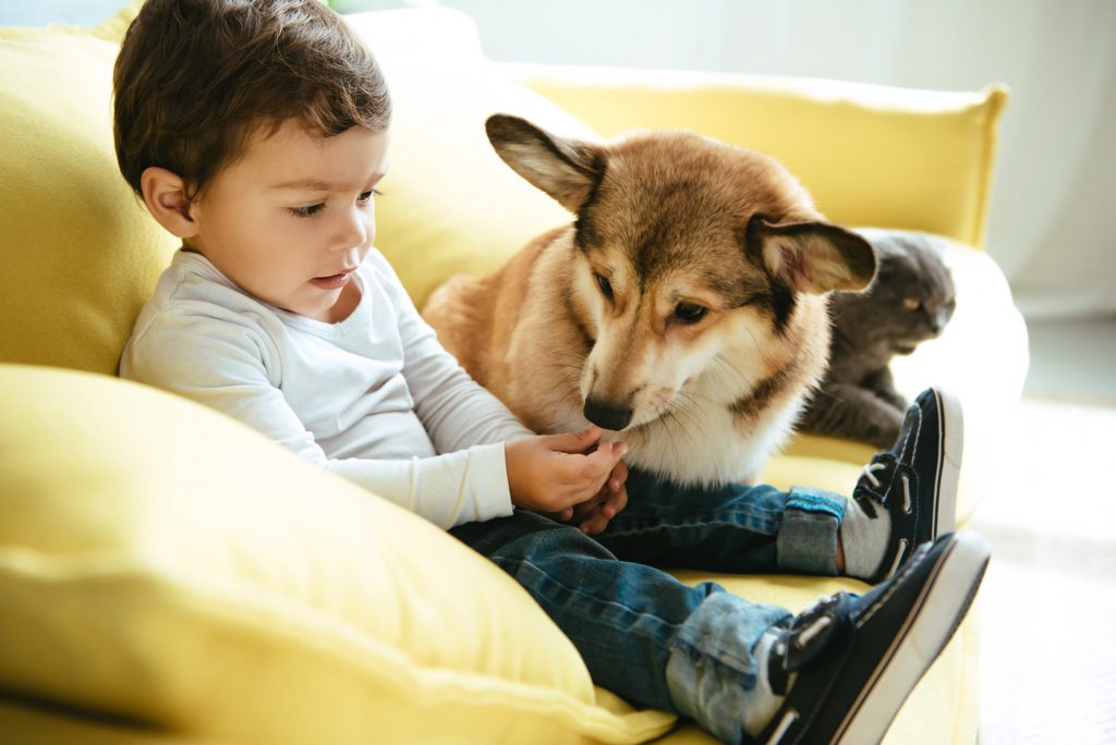 toddler-and-dog