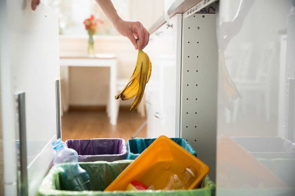 banana-in-food-waste-caddy