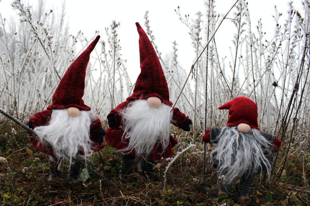 xmas-gnomes