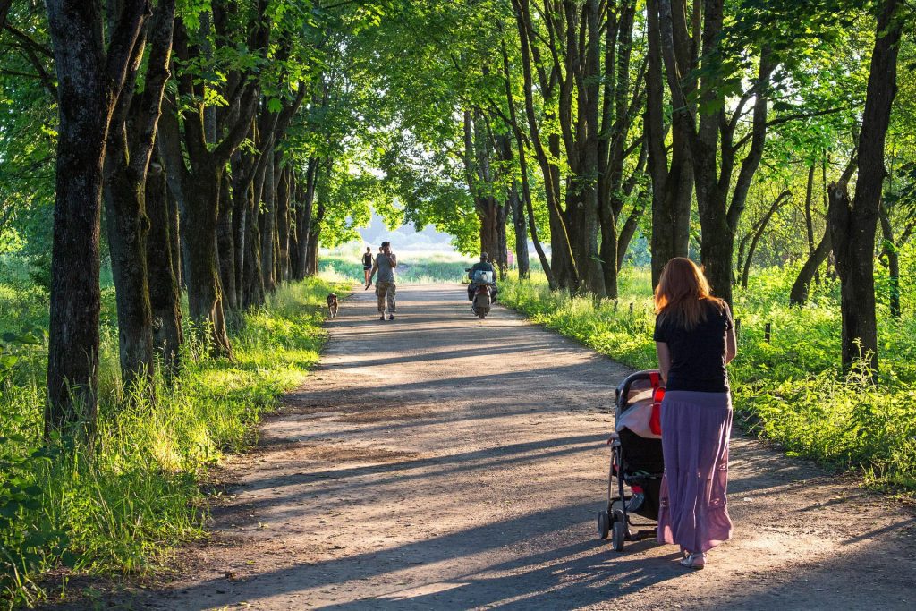 walk-in-park-with-buggy