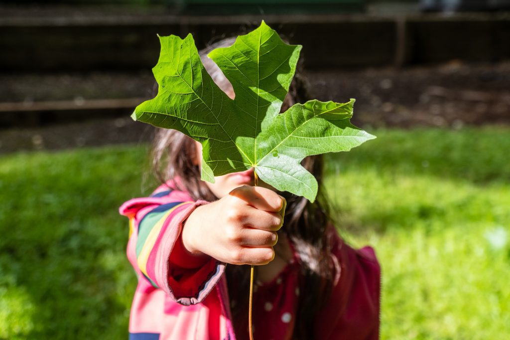 child-with-leaf