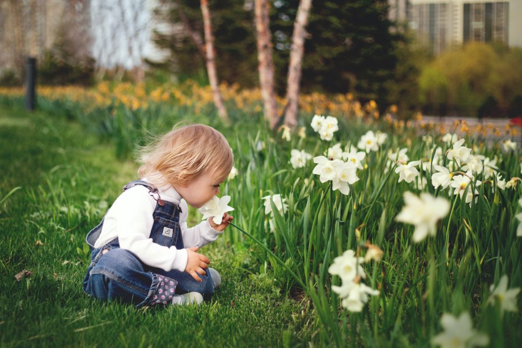 defcec47 child in flower field