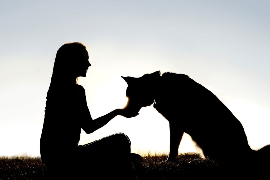 57bbbd0a training german shepherd