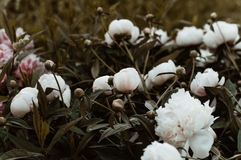 condolence flowers