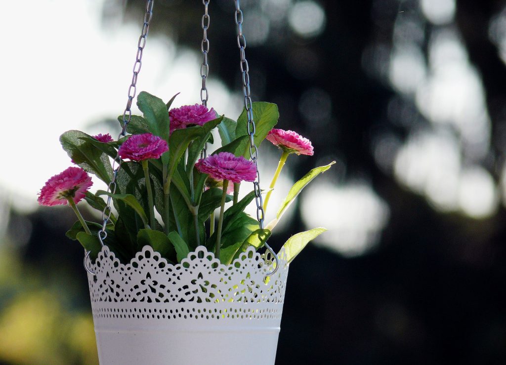 fc hanging basket for flowers