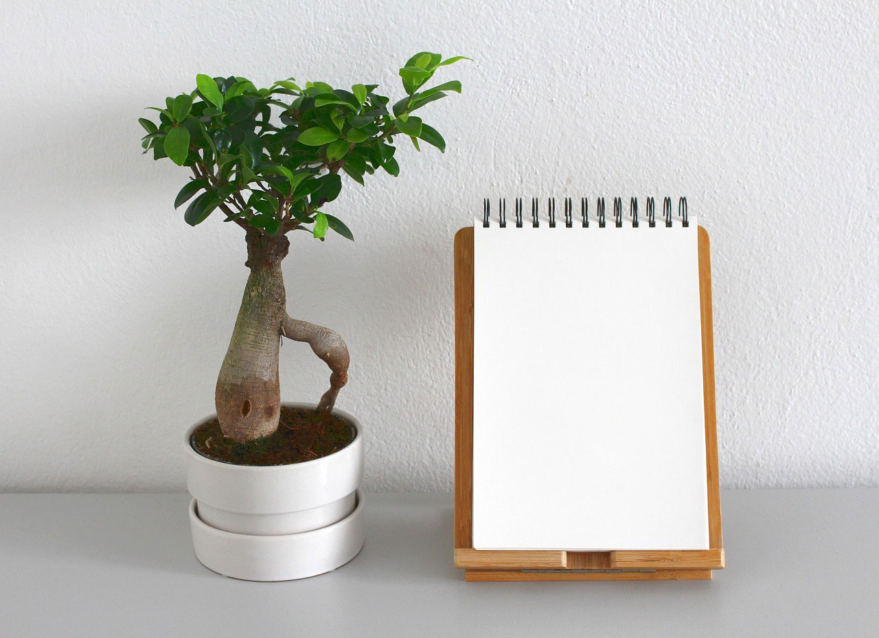 plant notebook