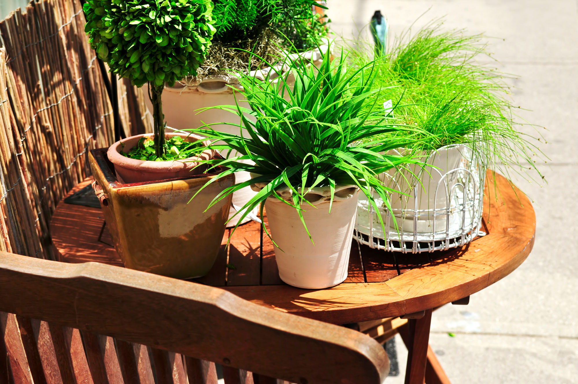 garden pots planters