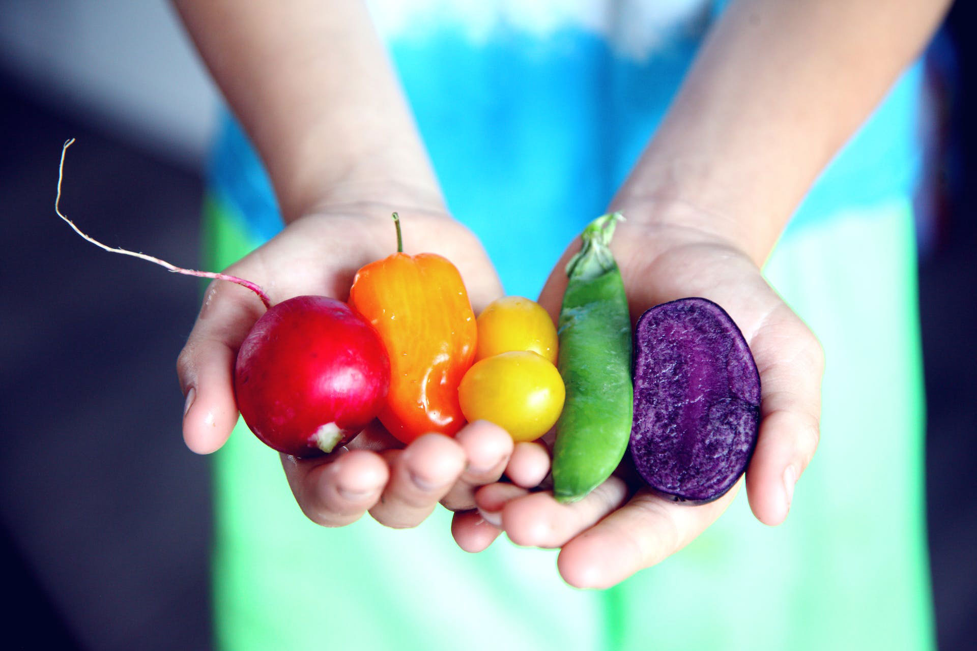 hands holding vegetables