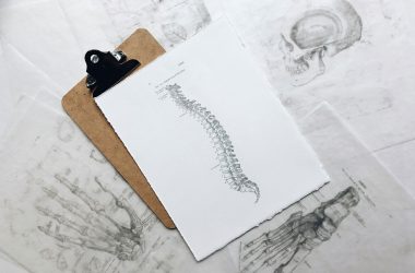 spine drawing