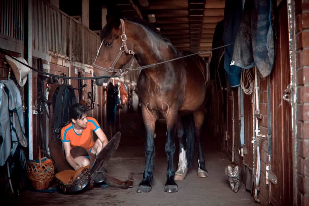 stablehand with horse