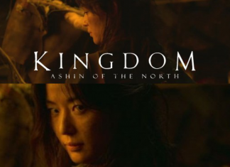 Ashin of the North
