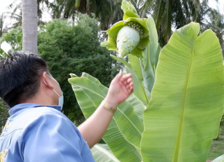 เลขเด็ด