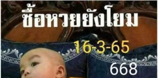 เลขเด็ด