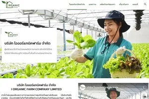 ฟาร์มผักไฮโดรโปนิกส์