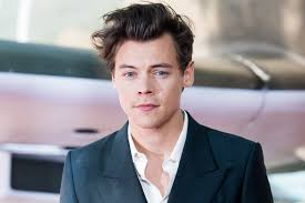 harry styles