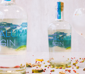 Las mejores marcas de Gin chileno e internacional