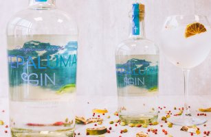 Las mejores marcas de Gin chileno e internacional