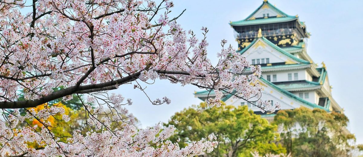 ¿Fanático de Japón? ¡Conoce estas 5 actividades para sentirte como de viaje!