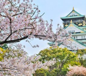 ¿Fanático de Japón? ¡Conoce estas 5 actividades para sentirte como de viaje!