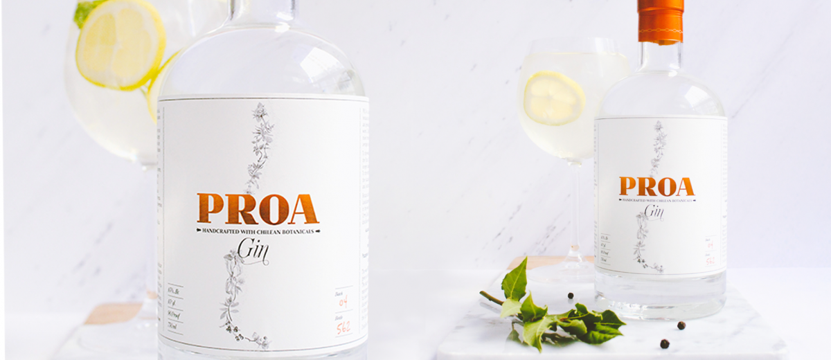 Gin Proa: Un gin artesanal creado combinando sabores del desierto y la Patagonia chilena