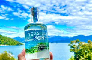Gin Tepaluma entre los mejores destilados del mundo
