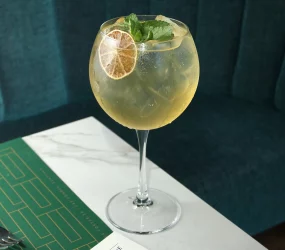 Domina el arte del Gin Tonic perfecto con esta receta