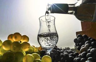 Del Gran pisco al especial: Descubre los tipos de pisco
