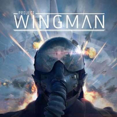 Project Wingman