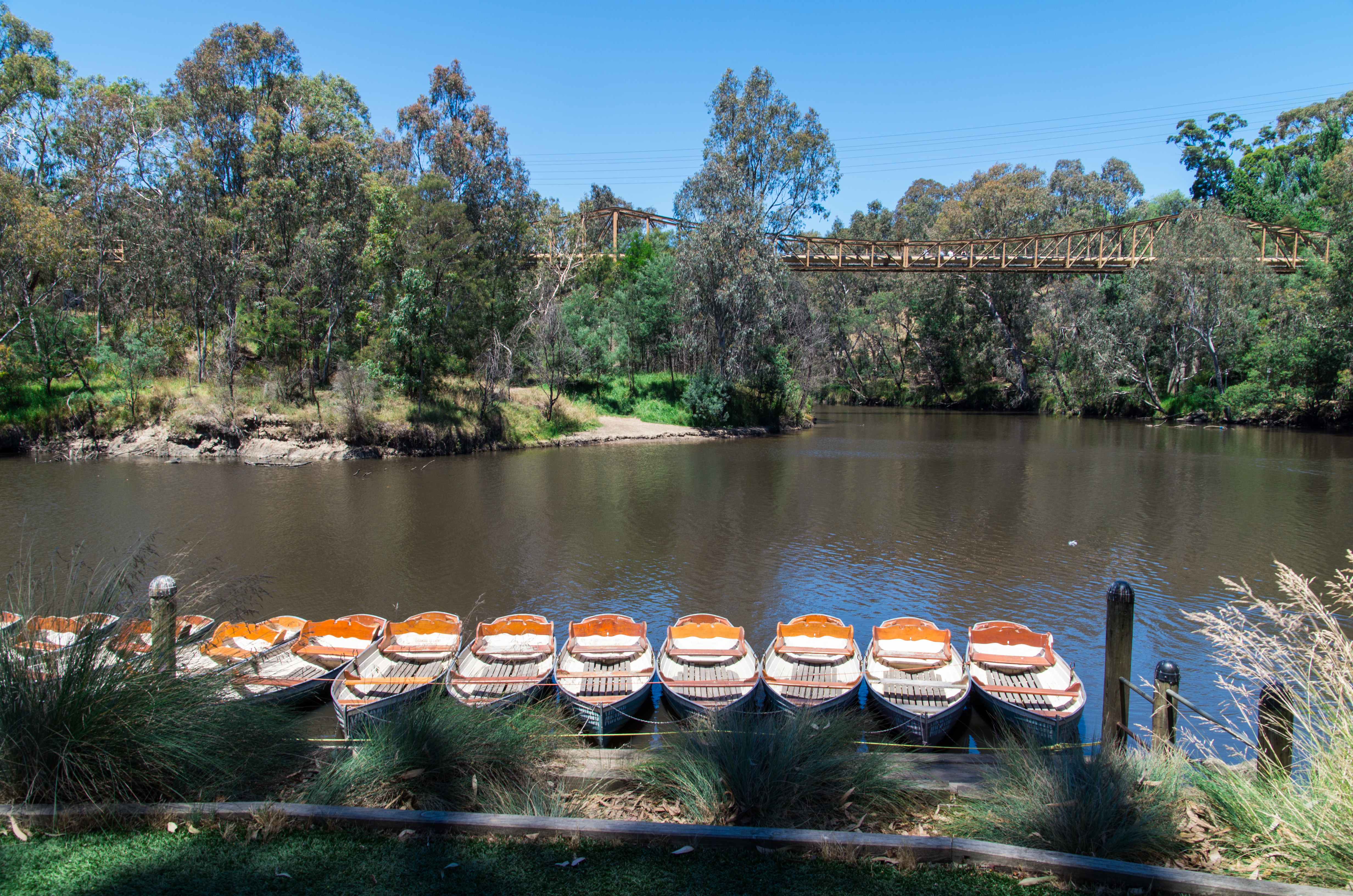 What to do in Melbourne