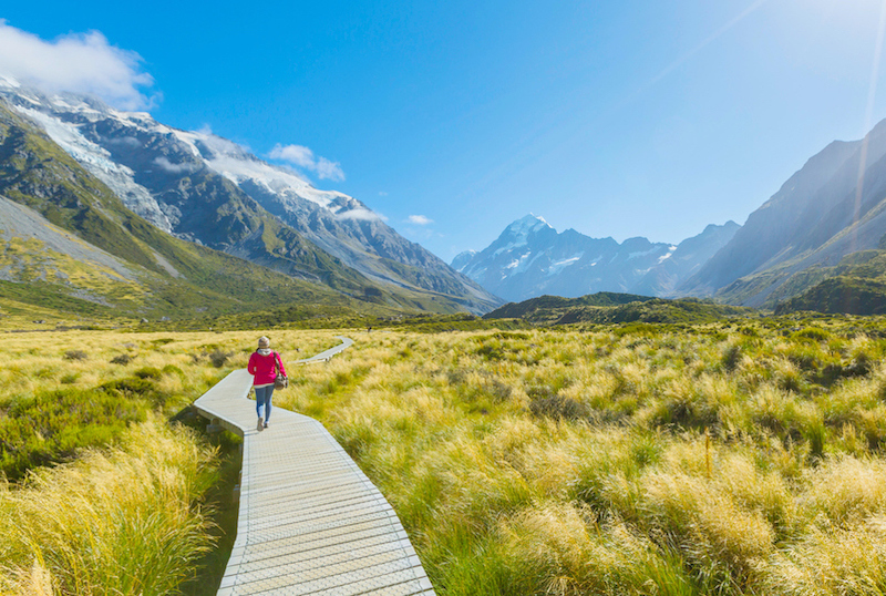 are dogs allowed in national parks nz