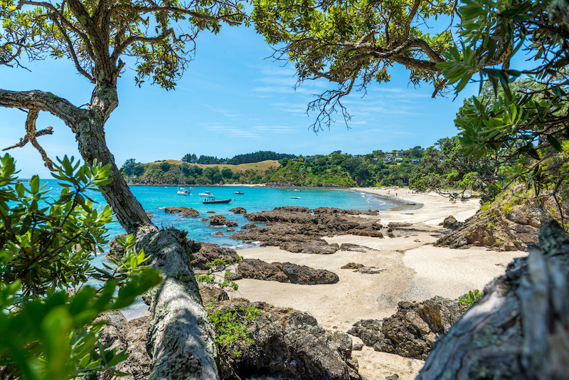 A secluded beach on Waiheke Island, New Zealand, surrounded by trees and rocks.