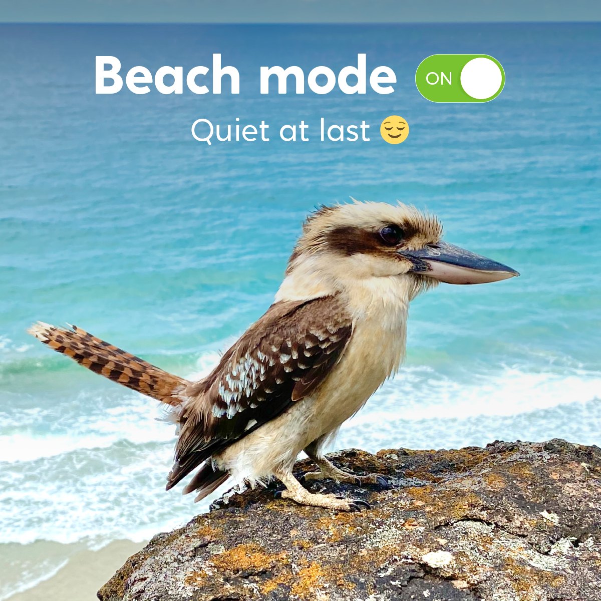 Watchif beach mode