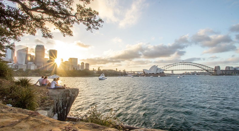 Royal Botanic Gardens lookout point 