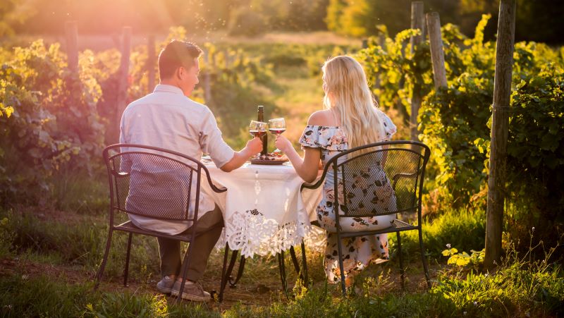 Tasting in the vineyards 